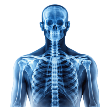 X-Ray Imaging