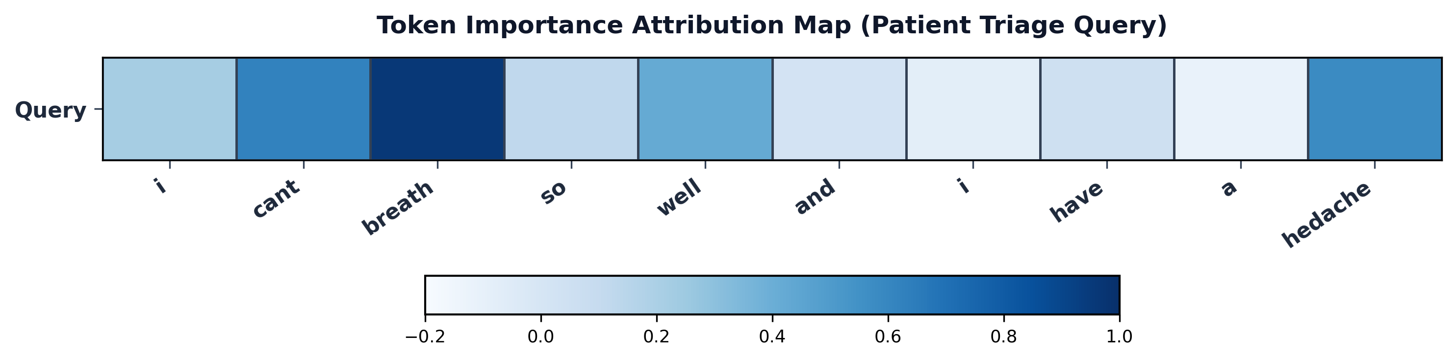 Symptoms Token Attribution Map